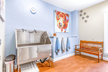 A stainless steel sink and bench in a laundry room